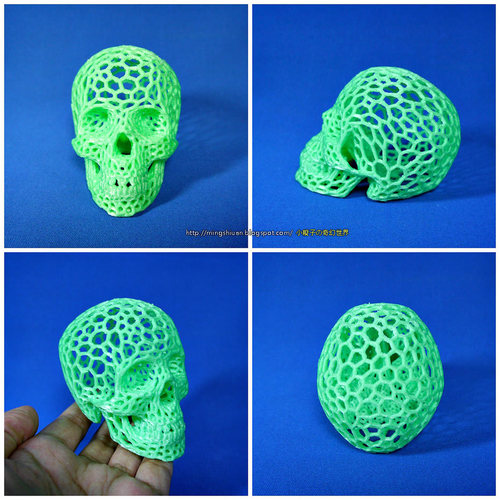 Skull lamps - Voronoi Style 3D Print 14462