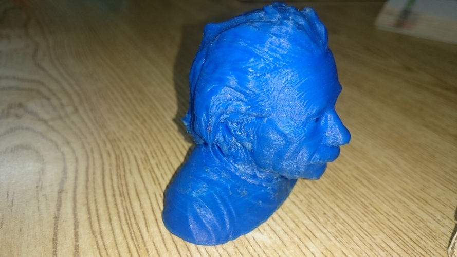 Einstein Bust (14K) 3D Print 14839