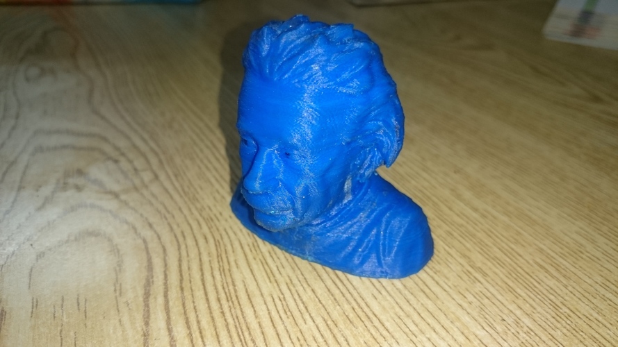 Einstein Bust (14K) 3D Print 14840