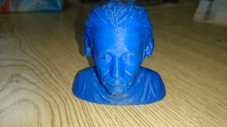 Einstein Bust (14K) 3D Print 14841