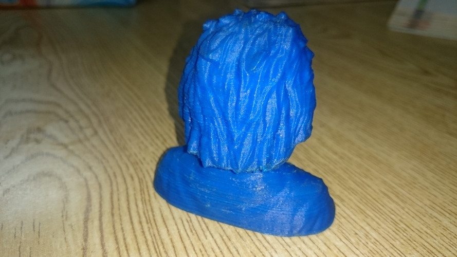 Einstein Bust (14K) 3D Print 14842