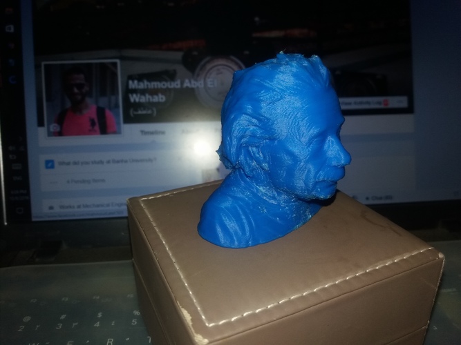 Einstein Bust (14K) 3D Print 14843