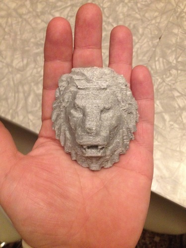 Lion-Head 3D Print 14878