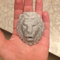Small Lion-Head 3D Printing 14878