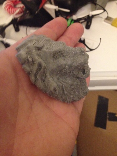 Lion-Head 3D Print 14879