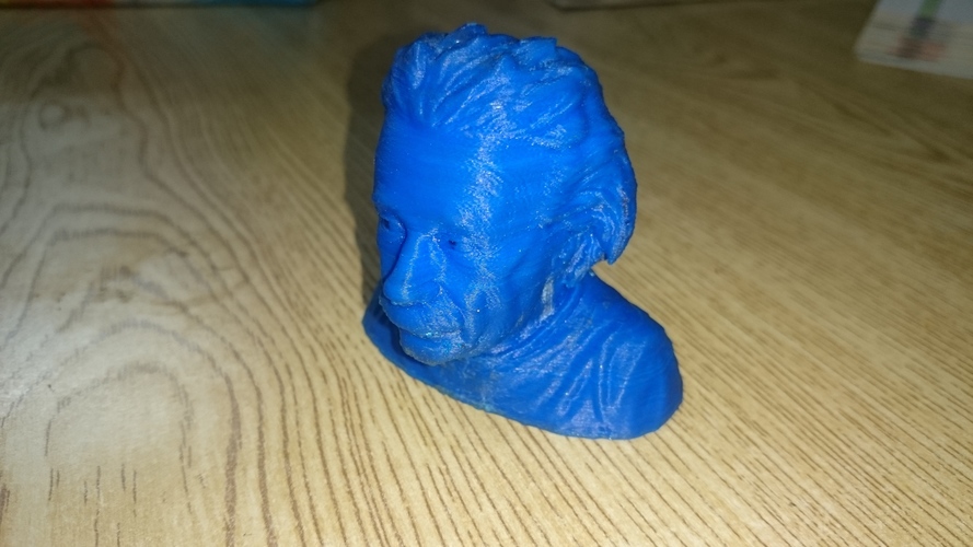 Einstein Bust (14K) 3D Print 15054