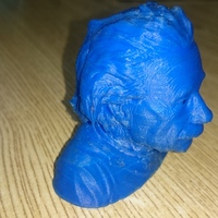 Small Einstein Bust (14K) 3D Printing 15056