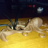 Small Flexible Octopus 3D Printing 15269