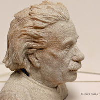Small Einstein Bust (14K) 3D Printing 15525