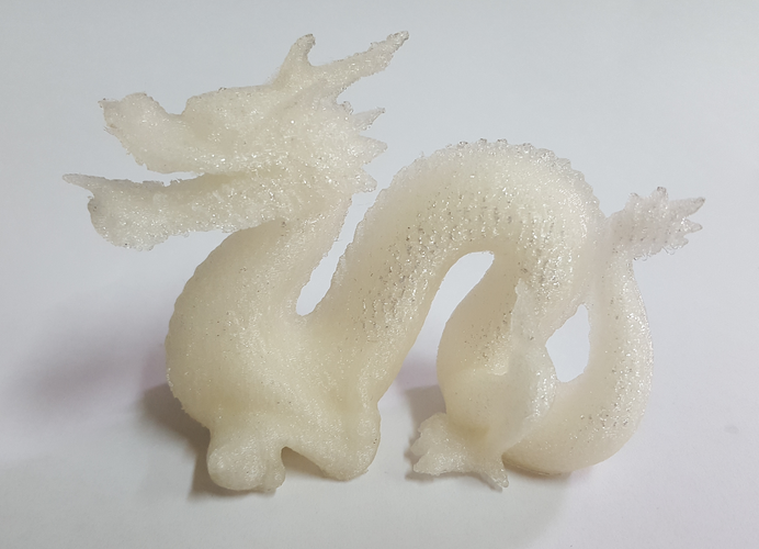 Hi-Res Standford Dragon 3D Print 15558