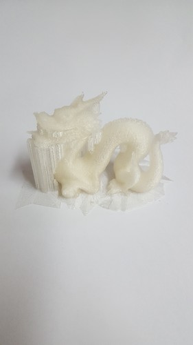 Hi-Res Standford Dragon 3D Print 15559