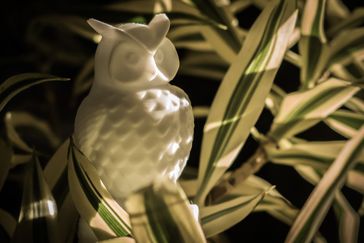 Owl 3D Print 15733