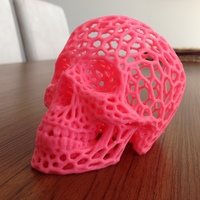 Small Skull lamps - Voronoi Style 3D Printing 15823