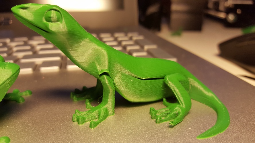 Little Lizard 3D Print 16430