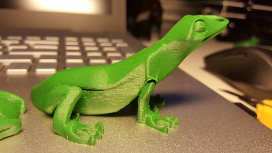 Little Lizard 3D Print 16431