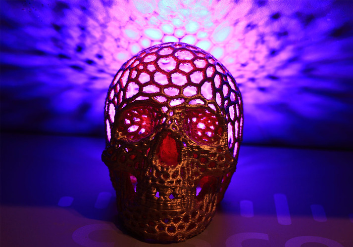 Skull lamps - Voronoi Style 3D Print 16454