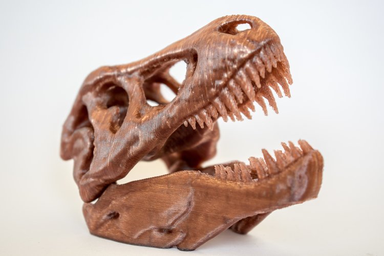 The T-Rex Skull 3D Print 16850
