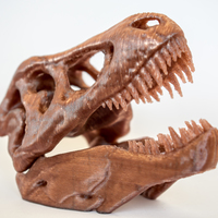 Small The T-Rex Skull 3D Printing 16850