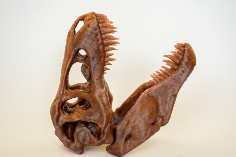 The T-Rex Skull 3D Print 16851