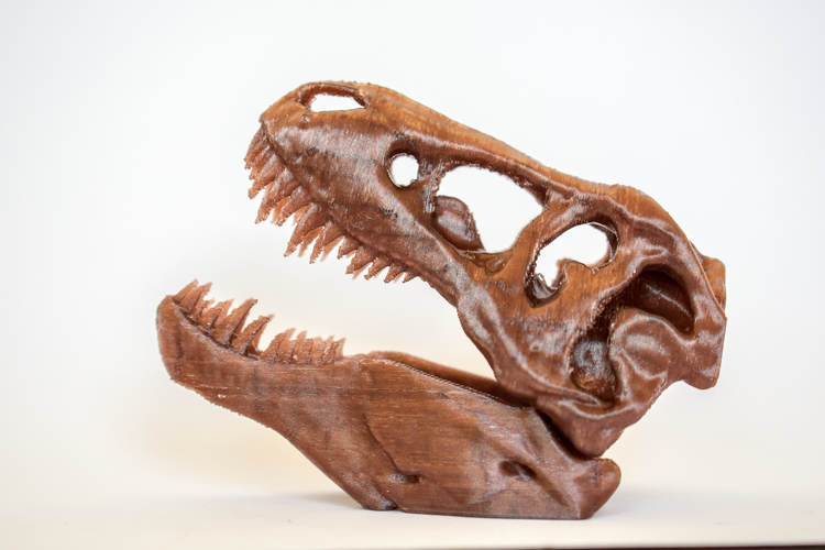 The T-Rex Skull 3D Print 16852