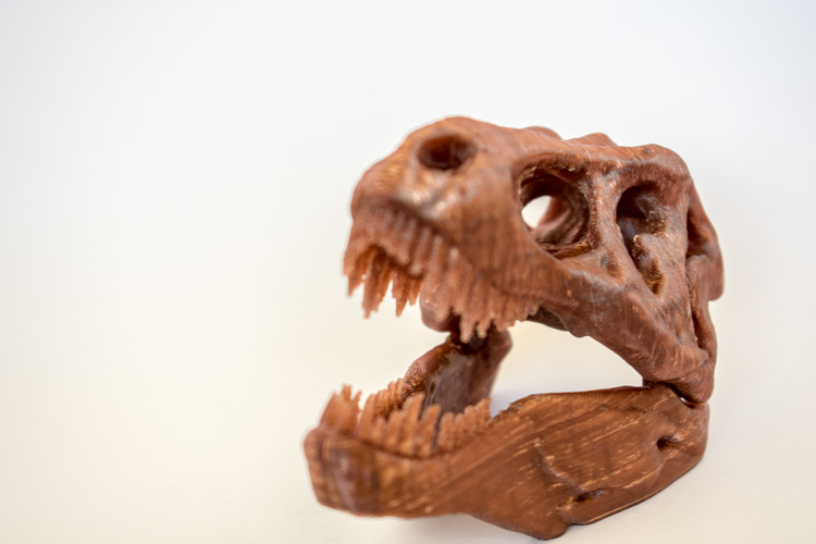 The T-Rex Skull 3D Print 16853