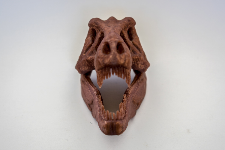 The T-Rex Skull 3D Print 16854