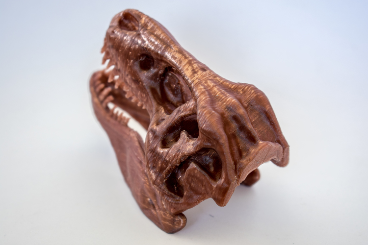The T-Rex Skull 3D Print 16855