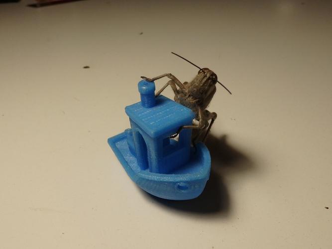 #3DBenchy - The jolly 3D printing torture-test 3D Print 16977