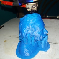 Small Einstein Bust (14K) 3D Printing 17230