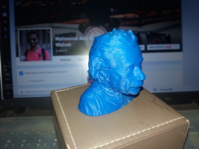 Einstein Bust (14K) 3D Print 17231