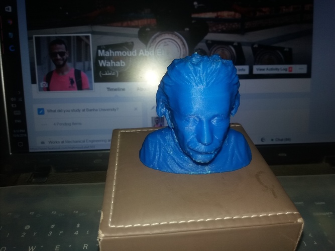 Einstein Bust (14K) 3D Print 17232