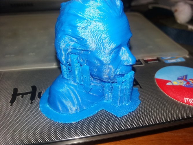 Einstein Bust (14K) 3D Print 17234
