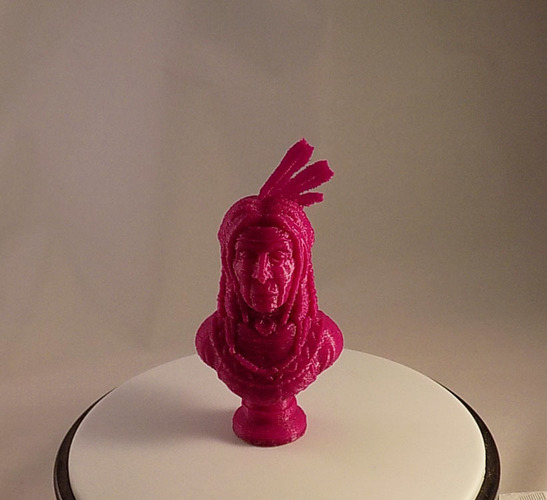 LAKOTA 3D Print 17538