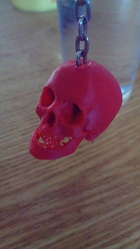 Skull 3D Print 17877