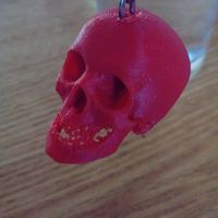 Small Skull 3D Printing 17877