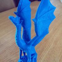 Small Aria the Dragon 3D Printing 18408