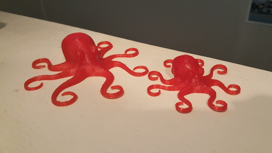Flexible Octopus 3D Print 18594