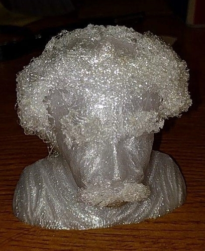 Hairy Einstein 3D Print 18602