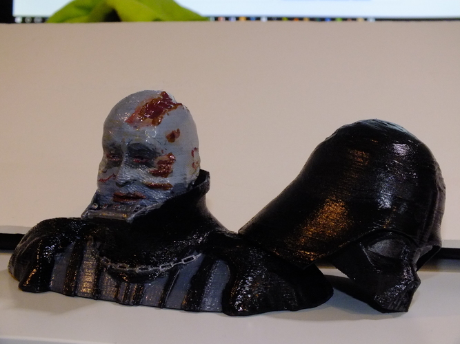 Darth Vader Reveal Bust 3D Print 18613