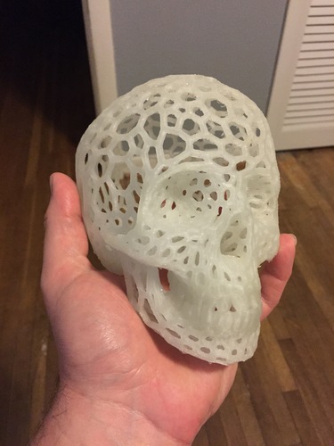Skull lamps - Voronoi Style 3D Print 18726