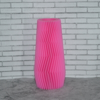 Small Vase 3D Printing 19574