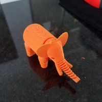 Small Elephant 3D Printing 20047