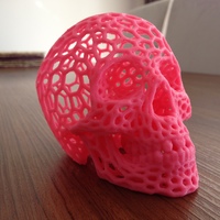 Small Skull lamps - Voronoi Style 3D Printing 20675