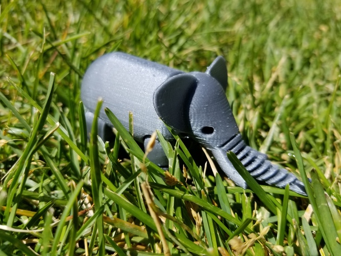 Elephant 3D Print 21153
