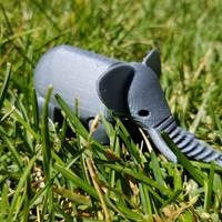 Small Elephant 3D Printing 21153