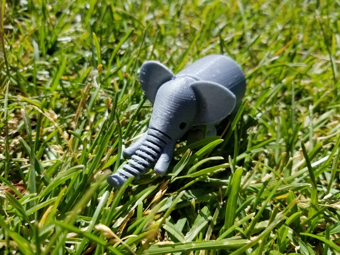 Elephant 3D Print 21155