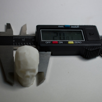 Small Low Poly Skull (1) 3D Printing 21179