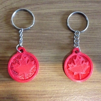 Small 3D printed key chain-Maple leaf 3D Printing 21750