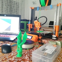 Small Aria the Dragon 3D Printing 2219