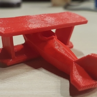 Small Stoyries - Low-Poly Plane 3D Printing 22347